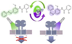 Content Dam Bow Online Articles 2014 11 Pau Alloswitch 340x210 Content Dam Bow Online Articles 2014 11 Pau Alloswitch 340x210