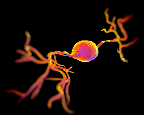 Content Dam Bow Online Articles 2014 11 Shutterstock 201531617