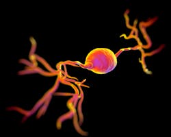 Content Dam Bow Online Articles 2014 11 Shutterstock 201531617 Content Dam Bow Online Articles 2014 11 Shutterstock 201531617