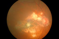 Content Dam Bow Online Articles 2014 11 Shutterstock 201726818 Content Dam Bow Online Articles 2014 11 Shutterstock 201726818