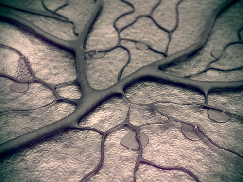 Content Dam Bow Online Articles 2014 11 Shutterstock 227657527