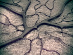 Content Dam Bow Online Articles 2014 11 Shutterstock 227657527 Content Dam Bow Online Articles 2014 11 Shutterstock 227657527