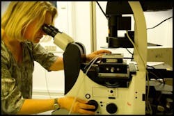 Content Dam Bow Online Articles 2014 12 83571 Web2 Content Dam Bow Online Articles 2014 12 83571 Web2