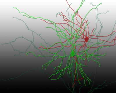Content Dam Bow Online Articles 2014 12 84499 Web
