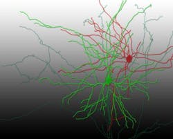 Content Dam Bow Online Articles 2014 12 84499 Web Content Dam Bow Online Articles 2014 12 84499 Web