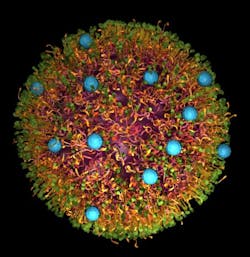 Content Dam Bow Online Articles 2014 12 Sdl Web Content Dam Bow Online Articles 2014 12 Sdl Web