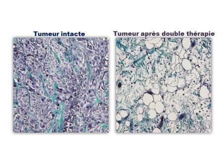 Content Dam Bow Online Articles 2015 April Image Web