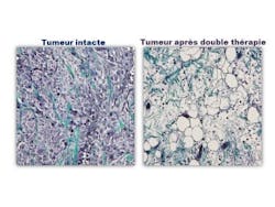 Content Dam Bow Online Articles 2015 April Image Web Content Dam Bow Online Articles 2015 April Image Web