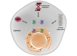 Content Dam Bow Online Articles 2015 August Aging 1 Content Dam Bow Online Articles 2015 August Aging 1