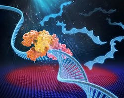 Content Dam Bow Online Articles 2015 August Pcr Cover480 Content Dam Bow Online Articles 2015 August Pcr Cover480