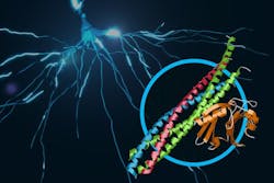 Content Dam Bow Online Articles 2015 August Slac Web Content Dam Bow Online Articles 2015 August Slac Web