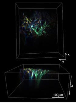 Content Dam Bow Online Articles 2015 December 104432 Web Content Dam Bow Online Articles 2015 December 104432 Web