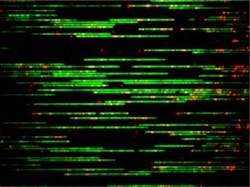 Content Dam Bow Online Articles 2015 December 105994 Web2 Content Dam Bow Online Articles 2015 December 105994 Web2