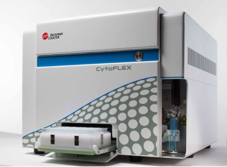 Content Dam Bow Online Articles 2015 December 286541 Web