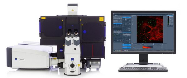 Content Dam Bow Online Articles 2015 December Zeiss Elyra Blog