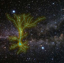 Content Dam Bow Online Articles 2015 February 87414 Web2 Content Dam Bow Online Articles 2015 February 87414 Web2