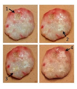 Content Dam Bow Online Articles 2015 February Fau Cancer Study Web Content Dam Bow Online Articles 2015 February Fau Cancer Study Web