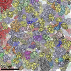 Content Dam Bow Online Articles 2015 January 01 05 Ebbinghaus Web Content Dam Bow Online Articles 2015 January 01 05 Ebbinghaus Web