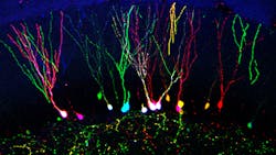 Content Dam Bow Online Articles 2015 January Rgb Content Dam Bow Online Articles 2015 January Rgb