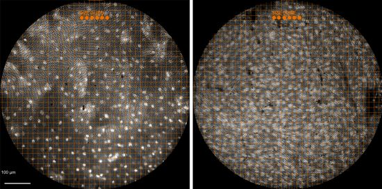 Content Dam Bow Online Articles 2015 June 0601 Hrme 1 Web 1