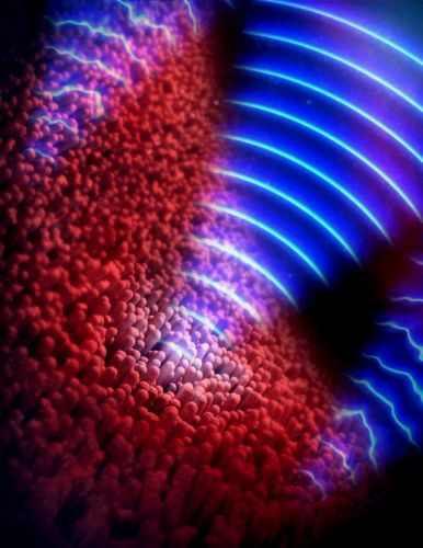 Content Dam Bow Online Articles 2015 June Final Version Boppart150618 Cr B Web