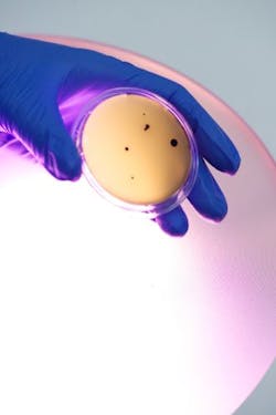 Content Dam Bow Online Articles 2015 June Hins Web Content Dam Bow Online Articles 2015 June Hins Web