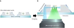 Schematic showing the soSPIM technique: Cells can be grown in the microfabricated wells, holding them in place for imaging (a), and the 45° micromirrors reflect the excitation beam (dotted line) from a single objective, through the sample, and the resultant emitted fluorescence signal is captured by the same objective (b). Schematic showing the soSPIM technique: Cells can be grown in the microfabricated wells, holding them in place for imaging (a), and the 45° micromirrors reflect the excitation beam (dotted line) from a single objective, through the sample, and the resultant emitted fluorescence signal is captured by the same objective (b).
