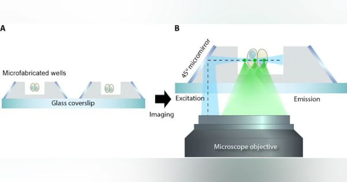 Microscope Method New super-resolution microscopy method is possible with single ...