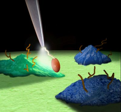 Content Dam Bow Online Articles 2015 March 16547676140 59eea9c430 O Web