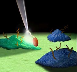 Content Dam Bow Online Articles 2015 March 16547676140 59eea9c430 O Web Content Dam Bow Online Articles 2015 March 16547676140 59eea9c430 O Web