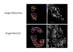 Content Dam Bow Online Articles 2015 March Abbildung Web Content Dam Bow Online Articles 2015 March Abbildung Web