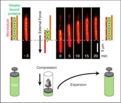 Content Dam Bow Online Articles 2015 March Diez Eng Web Content Dam Bow Online Articles 2015 March Diez Eng Web