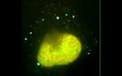 Content Dam Bow Online Articles 2015 March Mrna Thumb Content Dam Bow Online Articles 2015 March Mrna Thumb