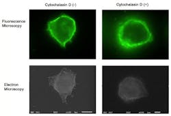 Content Dam Bow Online Articles 2015 March Murai Web Content Dam Bow Online Articles 2015 March Murai Web