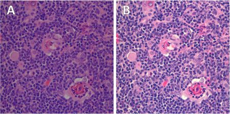 Content Dam Bow Online Articles 2015 May 2015 05 19 Datacolor Release Image As Distributed Web