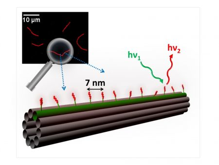 Content Dam Bow Online Articles 2015 May Dna Nanotube Web