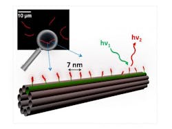 Content Dam Bow Online Articles 2015 May Dna Nanotube Web Content Dam Bow Online Articles 2015 May Dna Nanotube Web
