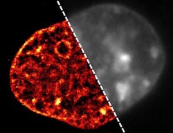 Content Dam Bow Online Articles 2015 November Imb Mikroskopietechnik Dna Web Content Dam Bow Online Articles 2015 November Imb Mikroskopietechnik Dna Web