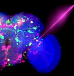 Content Dam Bow Online Articles 2015 November Miesenbock2 Web Content Dam Bow Online Articles 2015 November Miesenbock2 Web