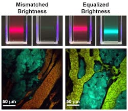 Content Dam Bow Online Articles 2015 October Quantumdots Web Content Dam Bow Online Articles 2015 October Quantumdots Web