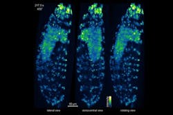 Content Dam Bow Online Articles 2015 October Seeing2 Web Content Dam Bow Online Articles 2015 October Seeing2 Web