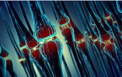 Content Dam Bow Online Articles 2015 September Synapsen 535 Web Content Dam Bow Online Articles 2015 September Synapsen 535 Web