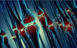 Content Dam Bow Online Articles 2015 September Synapsen 535 Web Content Dam Bow Online Articles 2015 September Synapsen 535 Web