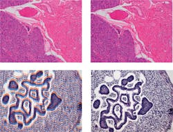 Content Dam Bow Print Articles 2014 11 1411bow 32 Content Dam Bow Print Articles 2014 11 1411bow 32