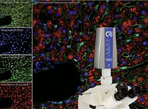 Content Dam Etc Medialib New Lib Biooptics World Online Articles 2010 11 61835