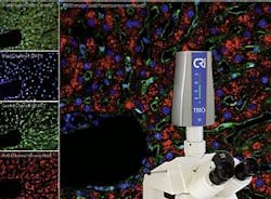 Content Dam Etc Medialib New Lib Biooptics World Online Articles 2010 11 61835 Content Dam Etc Medialib New Lib Biooptics World Online Articles 2010 11 61835