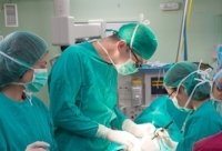 Content Dam Ils En Articles 2014 01 Surgical Tool Designs Confirm Laser Machining Can Fabricate Structure Leftcolumn Article Thumbnailimage File