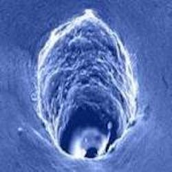 Content Dam Ils Online Articles 2011 12 Ils 2011 12 Zhang Intro Content Dam Ils Online Articles 2011 12 Ils 2011 12 Zhang Intro