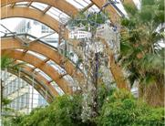 Content Dam Ils Online Articles 2013 08 Charlessteel1 S