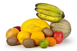 Content Dam Ils Online Articles 2014 06 Fruit Labeling 1 Content Dam Ils Online Articles 2014 06 Fruit Labeling 1